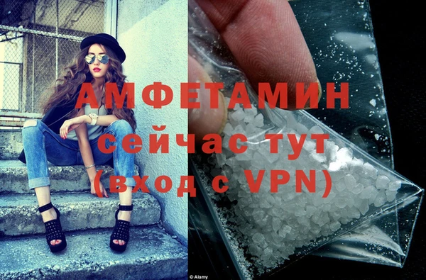 спиды Гусев