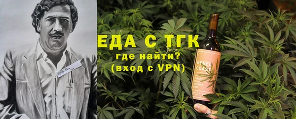 спиды Гусев
