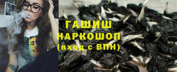 спиды Гусев