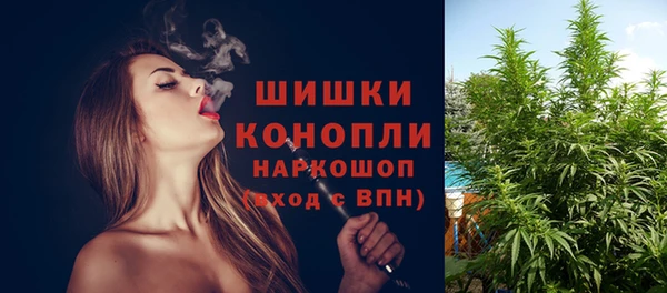 молекула духа Медногорск