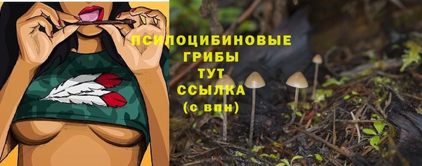 прущая мука Гусь-Хрустальный