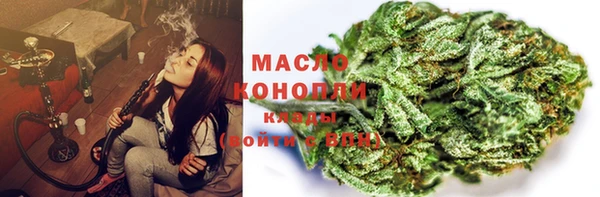 спиды Гусев