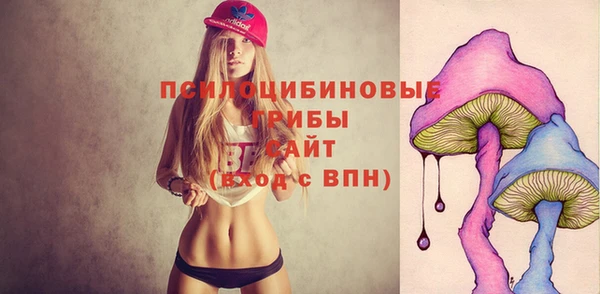 прущая мука Гусь-Хрустальный