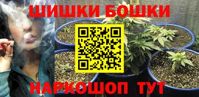 скорость Бийск