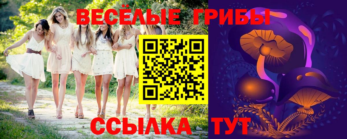 Псилоцибиновые грибы Cubensis  Вход с VPN  Псилоцибиновые грибы Psilocybe  Гусь-Хрустальный 
