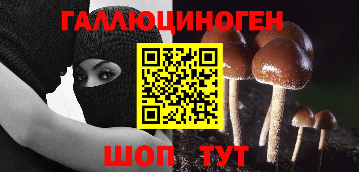 Бошки Шишки  Cocaine  Гусь-Хрустальный  Меф МЯУ МЯУ кристаллы  ГАШ  Вход с VPN 
