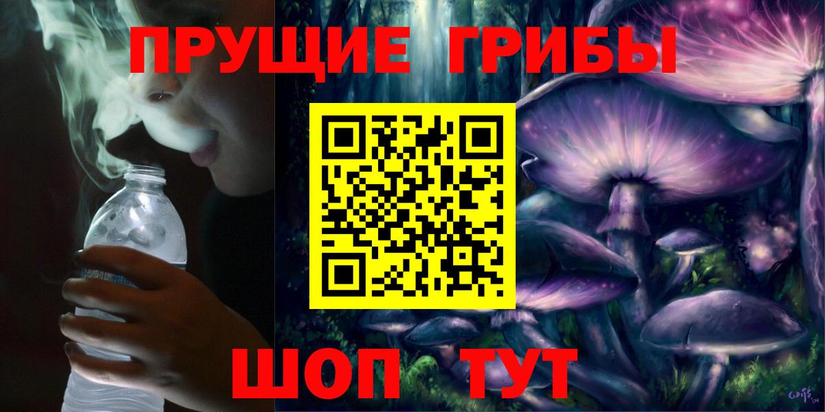 Псилоцибиновые грибы мицелий Гусь-Хрустальный