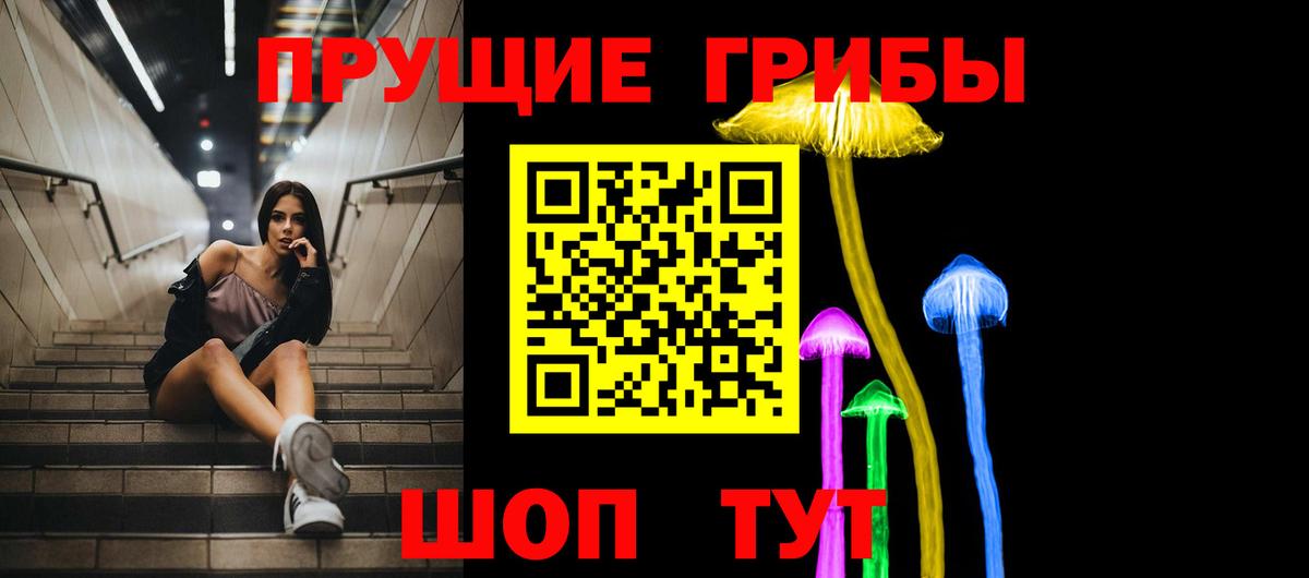 Галлюциногенные грибы Psilocybine cubensis Гусь-Хрустальный